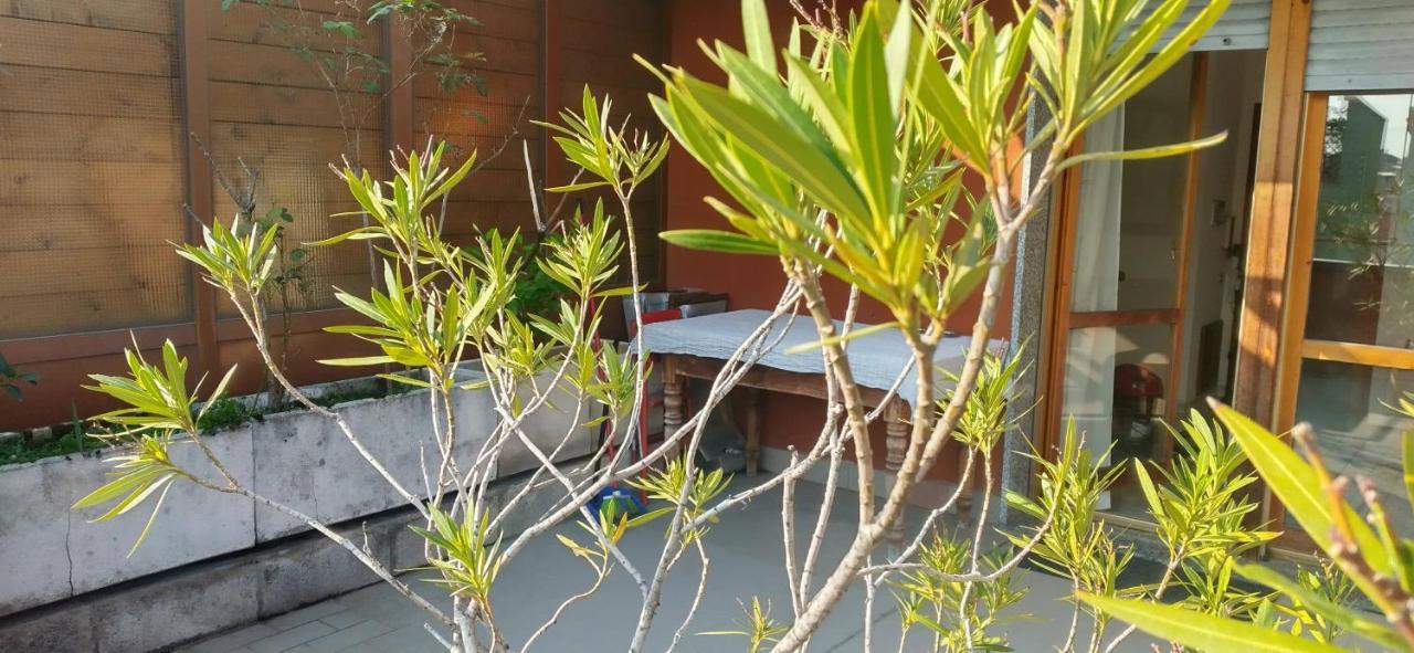 Meraviglioso Super Attico Con Terrazza Milán Exteriér fotografie