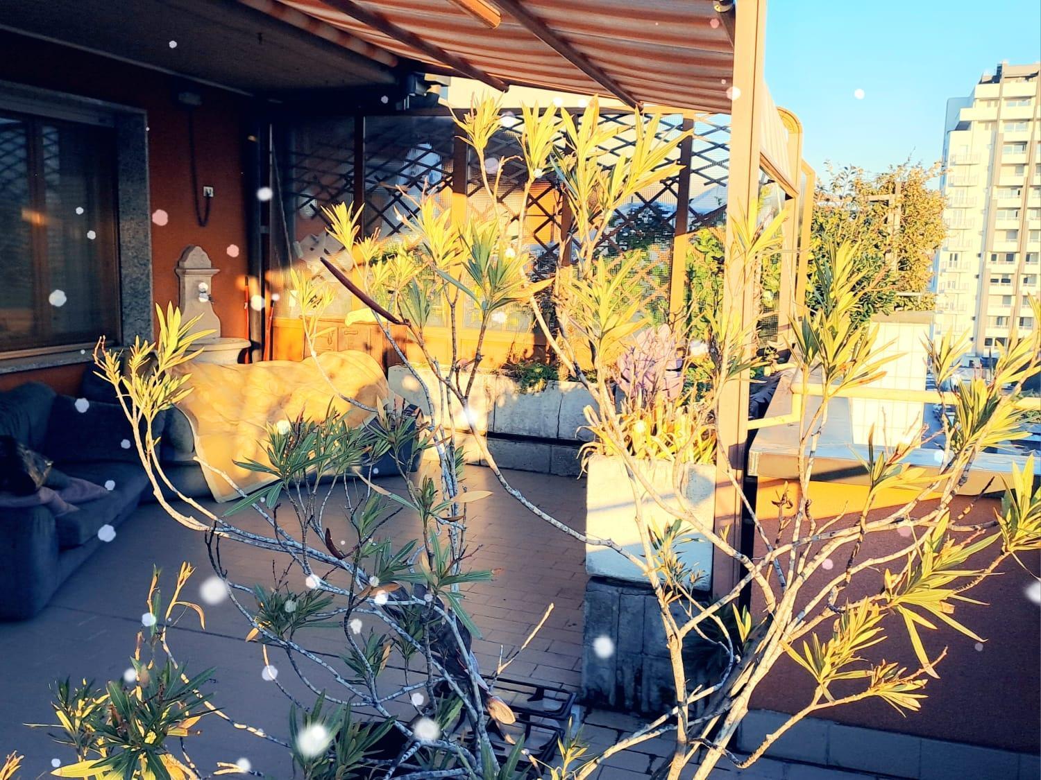 Meraviglioso Super Attico Con Terrazza Milán Exteriér fotografie